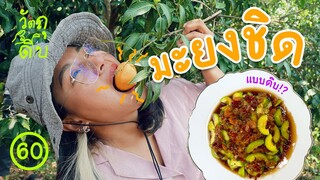 มะยงชิดกินดิบๆก็แซ่บ - วัตถุดิบ EP60