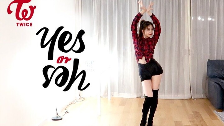 【Ellen and Brian】TWICE’s “YES or YES” dance cover～