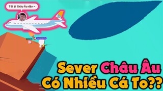 Play Together | Một Ngày Sang "SEVER CHÂU ÂU" Câu Cá Xem Rằng Có Nhiều Cá To Không Và Cái Kết??