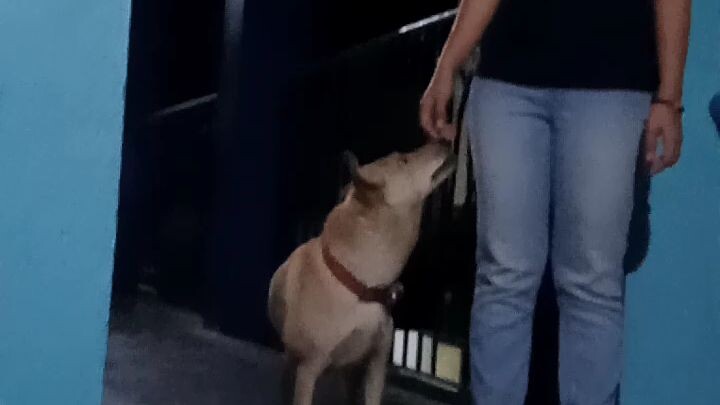 Pretending she didn't saw our dog😜