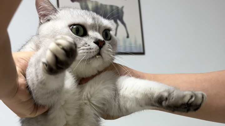 Nhìn cảnh chúng uống nước ừng ực mà thấy thật mãn nguyện quá!