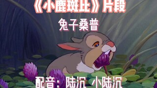 【陆沉】爸爸带孩子，小兔子的觅食名言