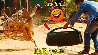 [ Try Not To Laugh ] Big JBL Speaker vs Prank Dog Run Very Fast