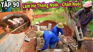 (Tập 90) Chăn Nuôi VIỆT NAM ở Châu Phi || Thiết Kế Hệ Thống Nước Cho Chăn Nuôi - Tắm Cho Đàn Lợn