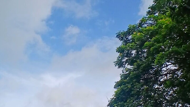 রামকান্তপুর সিংগাইর মানিকগঞ্জ