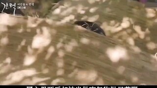 一国之母死后却被当做晦气物抛尸荒野 "古装 "宫斗剧