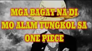 ONE PIECE _ TRIVIA AND FACTS _ ATR EP 47 _ PART 1_4