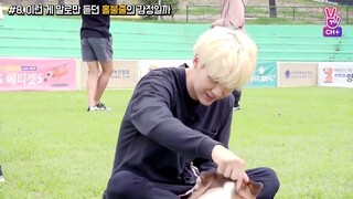 [BTS+] Run BTS! 2017 - Ep. 23 Behind The Scene