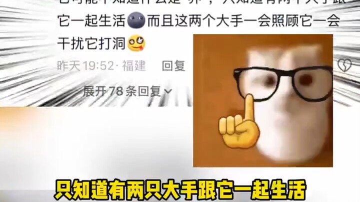 ตัวตุ่นอาจไม่รู้ว่ามีคนกำลังเลี้ยงดูมันอยู่ แต่มันรู้ว่ามีสองมือคอยดูแลมัน