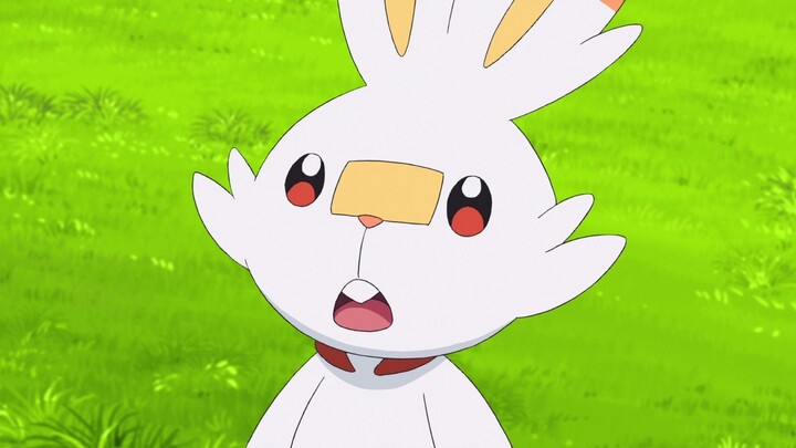 [Toonworld4all] Pokemon S23E05 In Hindi