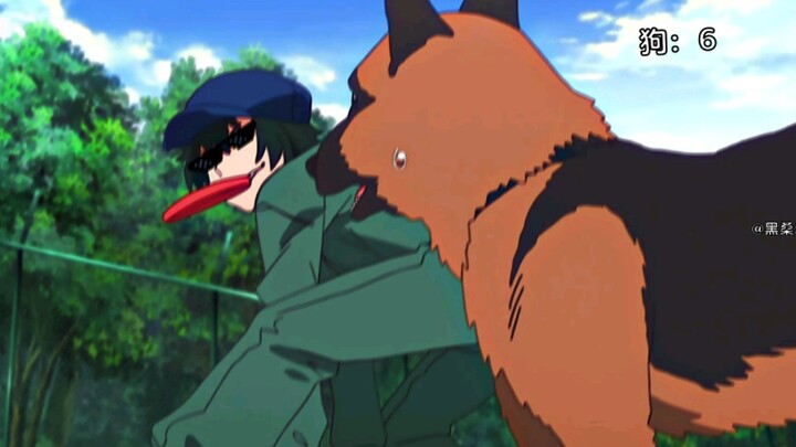 كم كلبًا في الفيديو؟