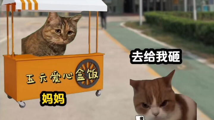 Internet Celebrity Exposes 5-Yuan Lunch Box Scam