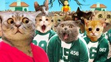 $456,000 Squid Game Netflix Dogs And Cats - Cats Squid Game | MEOW