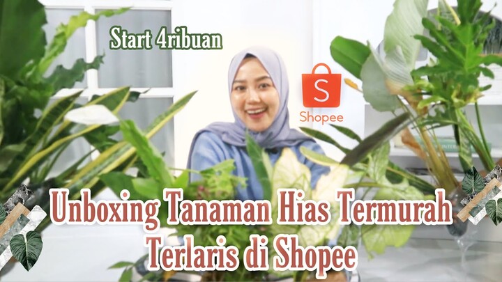 SHOPEE HAUL TANAMAN HIAS TERMURAH TERLARIS| UNBOXING+REVIEW
