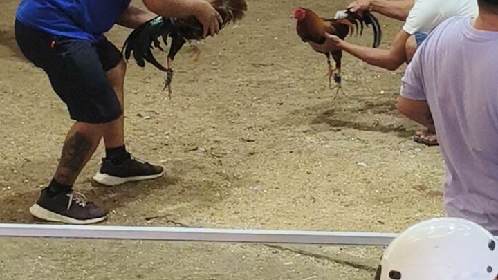 3 wins score WWD   2ndFight @NEW TABOGON COCKPIT