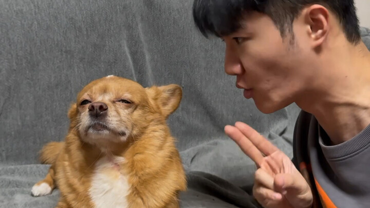 3 Quick Tips for Shooting Adorable Pet Videos