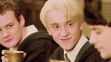 [HP·Draco] Come in and see the gloomy, cold, arrogant, thin and extravagant beautiful young master! 