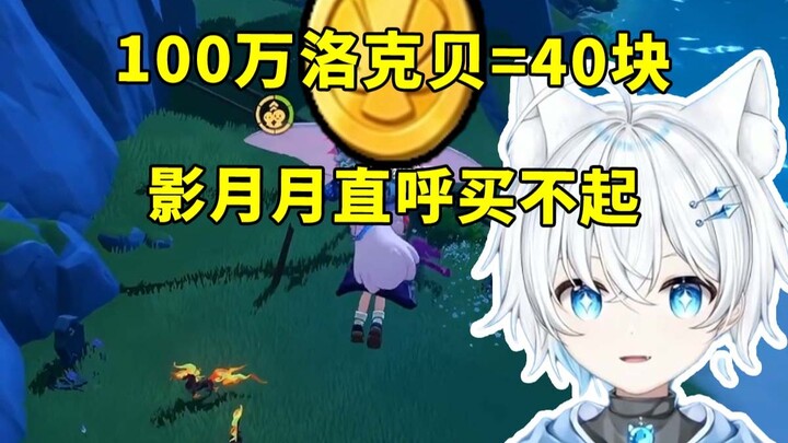 It costs 40 yuan to farm 1 million Locke Coins in Locke Kingdom, and Shadow Moon was dumbfounded on 