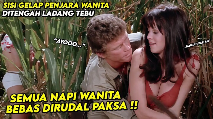 SISI GELAP PENJARA YANG PENUHI DENGAN GADIS MOLEK -Alur Cerita Film