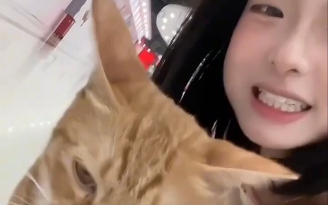 My bestie’s kitten is so cute!