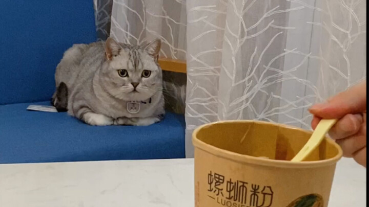 Cat: Don’t be such a dog—don’t drag me into eating shit!