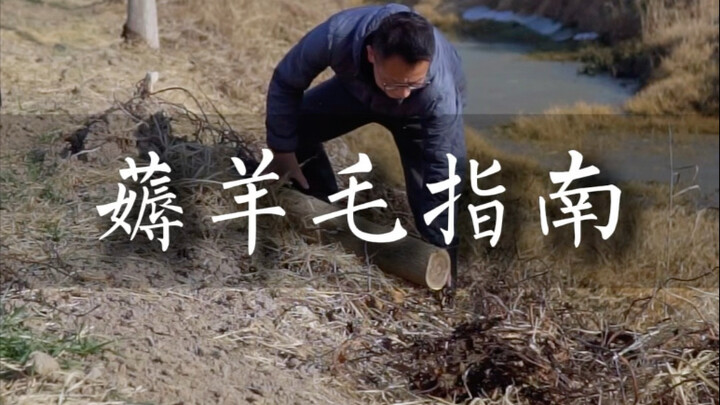 Money-Grabbing Tutorial