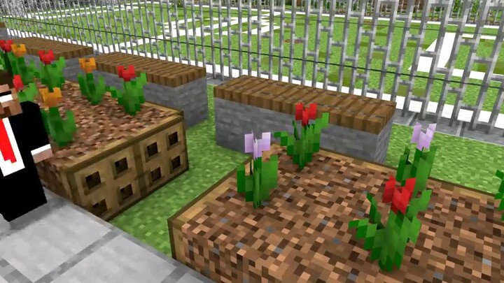 funny minecraft animation