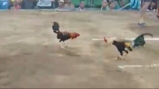 Radio Sweater Grey - Testing line (@ZapoteCockpit)