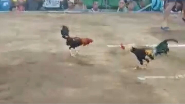 Radio Sweater Grey - Testing line (@ZapoteCockpit)