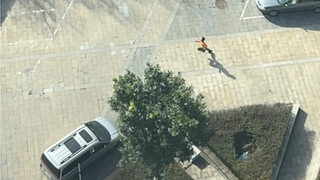 Đã cập nhật rồi đây!