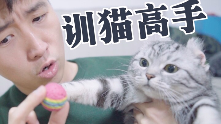 I taught my cat to fetch balls in just 6 hours! From now on, please call me a cat-training expert—my