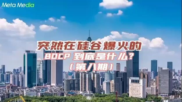 What is the BDCP that suddenly became popular in Silicon Valley (Issue 8)