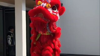 不是...老师最后那话啥意思阿？我咋没懂呢