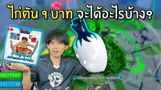 สุ่มไอดีไก่ตันโมจิตื่น 9บาท จะได้อะไรบ้าง? Blox Fruits