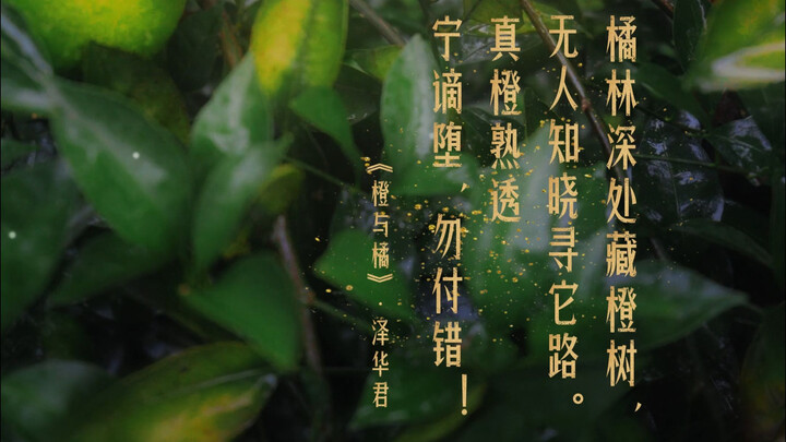 "Orange and Tangerine" Later on, I’d never again cheaply sell my sincerity #ZehuaJun #Bard #Pastoral