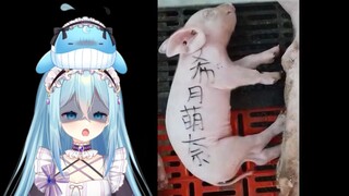 【希月】鲸宝的睡眠质量