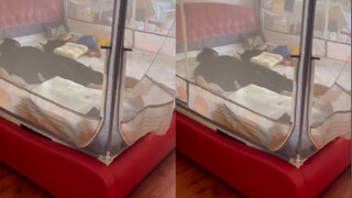 老公把孩子哄睡，妈妈觉得不可思议，到卧室一看太尴尬：是个人才