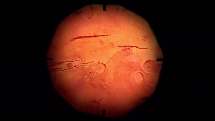 Thỏ điên xâm lăng: Nhiệm vụ sao Hỏa Full Movie [Sub Việt]