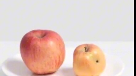 Suffering is never worth celebrating.