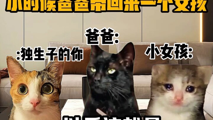 “Khuôn viên meme về mèo: Ngày bé, bố dẫn về một cô gái!”