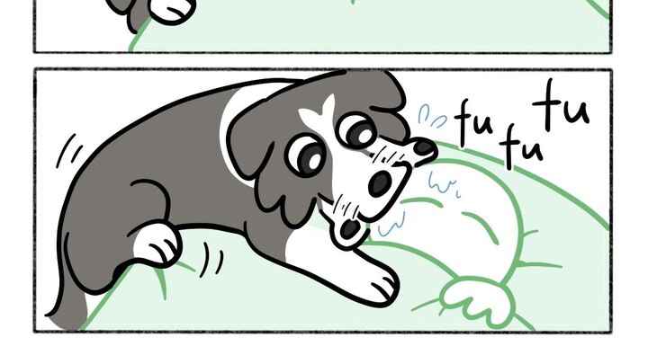 Nuôi chó thì mọi thứ đều phải có nắp đậy.