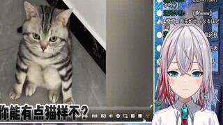 日本天然小姐姐看《猫猫都是学人精》