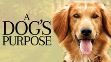 A Dog's Purpose (2017) Sub Indo