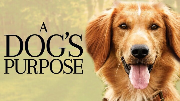 A Dog's Purpose (2017) Sub Indo