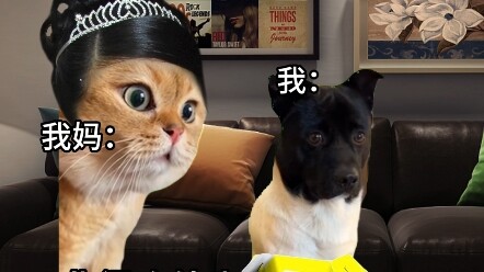 When I Sneak Out in the Middle of the Night to Grab Takeout