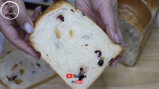 [SHORTS] Preview Raisins & Cranberry Bread Loaf | AnnMade