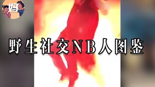 【野生人类图鉴】我是社交牛B小亮，我敢吃