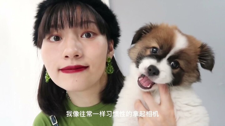 The puppy with me is one year old! Baby Dogs - Cute and Funny Dog