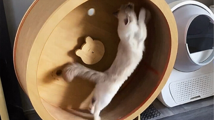 I heard watching this video in a public restroom creates a 4D effect.