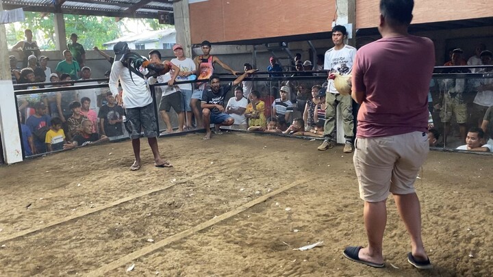 Gallera De Mandaon( 3rd Fight WIN)